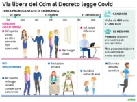 Prorogato lo stato di emergenza: le novità del decreto Covid - AVIS ...